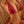 Chloe: 60cm A-cup Sex Torso-[Fair]